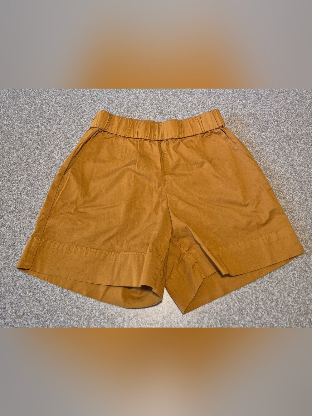 Womens Everlane Shorts Size 4